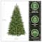 7.5ft. Pre-Lit PowerConnect™ Princeton Fraser Fir Artificial Christmas Tree, Dual Color® LED Lights